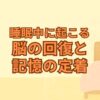 睡眠中に起こる脳の回復と記憶の定着