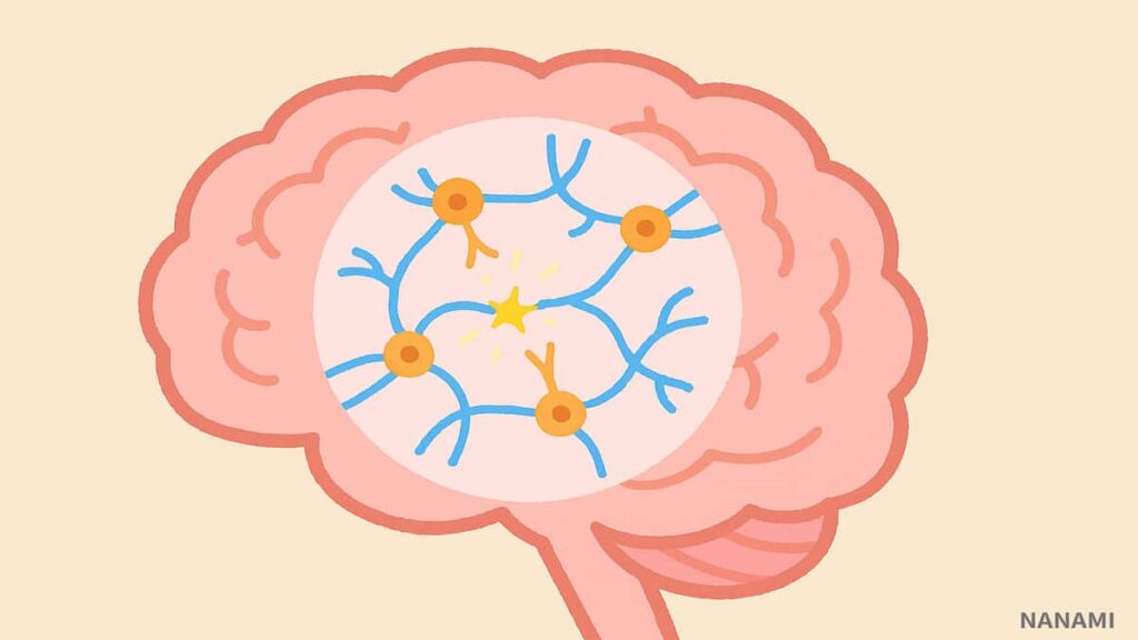 睡眠中に脳の回路や神経細胞の修復・再生が行われる
