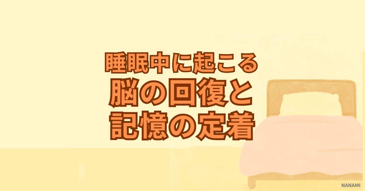 睡眠中に起こる脳の回復と記憶の定着